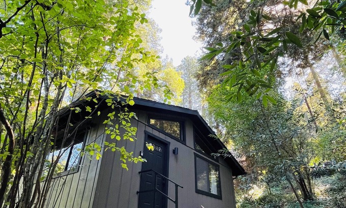 Camp Meeker Cabina | NEW - Relaxing Retreat with Hot Tub in the Woods