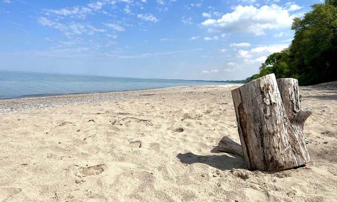 Dashwood Cabaña | Newly-Renovated, 3-Bedroom Cottage + Bunkie, Steps to Private Beach, Grand Bend!