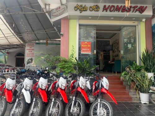 Ha Giang Casa | Ngan Ha Homestay