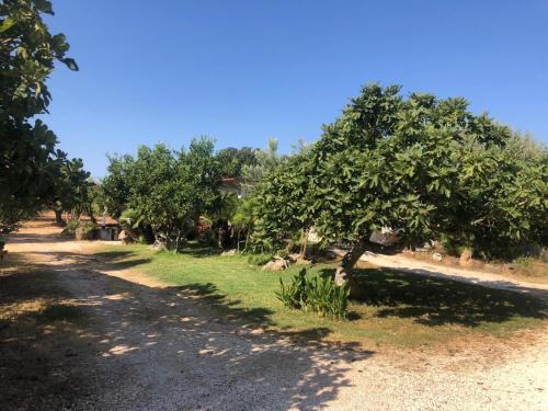 Orosei Casa | NicChia Turchese