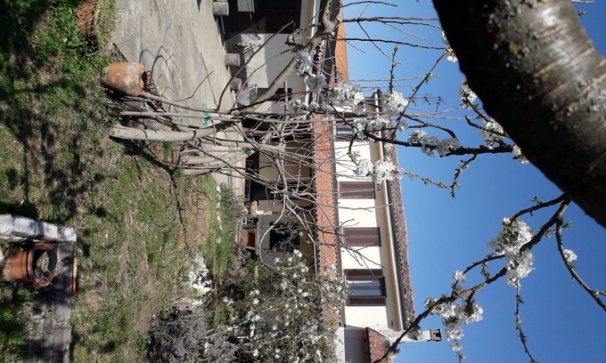 Villa Biscossi Casa | Casa Nicoletta en Lomellina