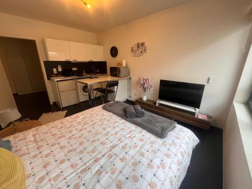 Poincare Apartamento | Nid douillet de la pie