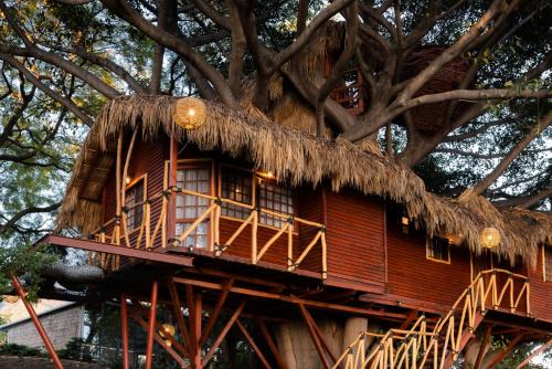 San Luis Soyatlan Cabina | Nido Ecoluxury - Villa San Luis Boutique