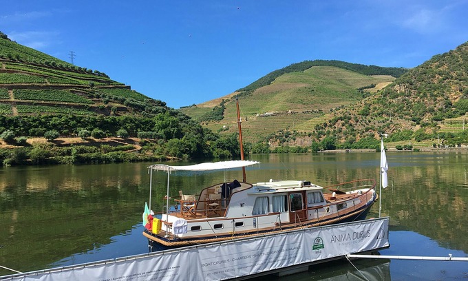 Pinhao Alquiler De Eote | Night Experience on a Yacht in the Heart of the Douro Valley
