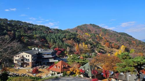Boeun Complejo | Nine Valley Park