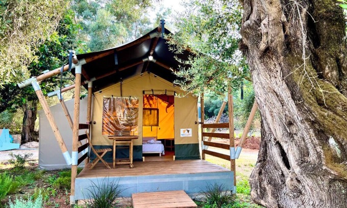 Kariotai Cabina | Nirikos Camping