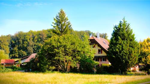 Oberkirch Casa | Nisihof, Seeblick Family or Single