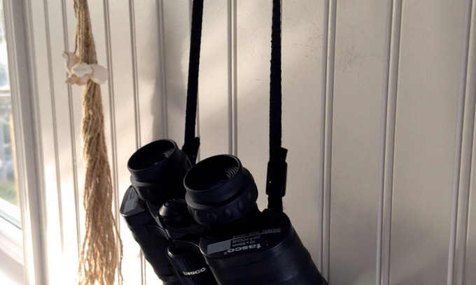 Petty Harbour Cabaña | Oceanside 1 dormitorio alquileres de vacaciones en Fishing Village a las afueras de St John's