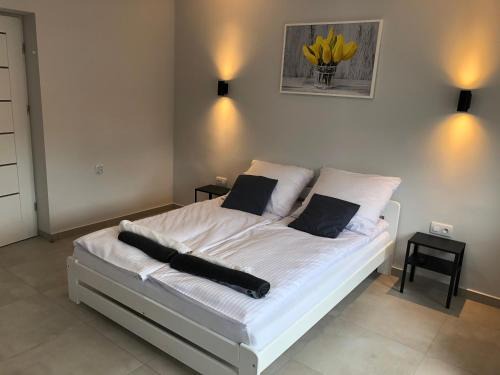 Spytkowice Casa | Noclegi Bachowice - Zator Energylandia Wadowice