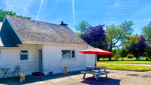 Duncannon Casa | Nolans organic farm