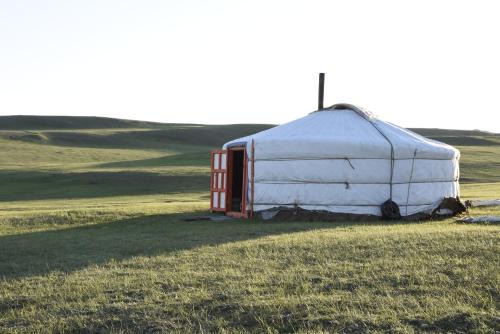 Sergelen Casa | Nomad Equestrian Stable