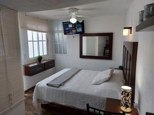 Zacatecas Centro Apartamento | Nuevo Depa #7 tipo loft en Planta Alta en Centro Histórico