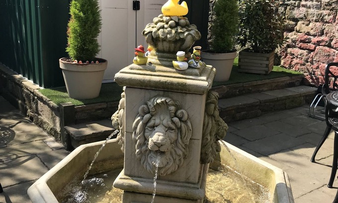 Tynemouth Casa | Number 61 Guest House and Tea Room