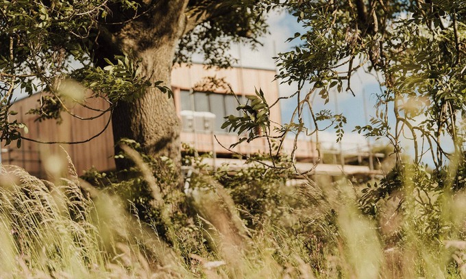 Wingate Cabina | Nuthatch Elevated Treehouse
