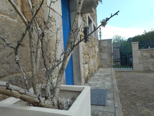 Brion Casa | O Casal