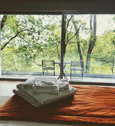 Ventosa Cabina | Oak Nature