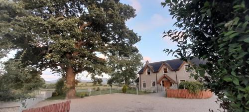 Newry Casa | Oaktree Manor