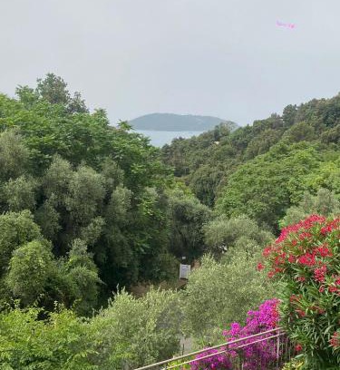 San Terenzo Apartamento | Oasi Verde 1