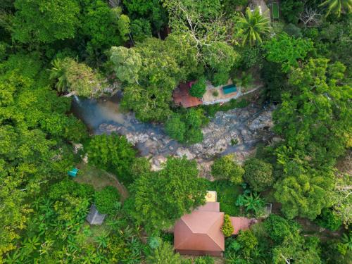 K. Wipawadi Casa | Oasis forest garden