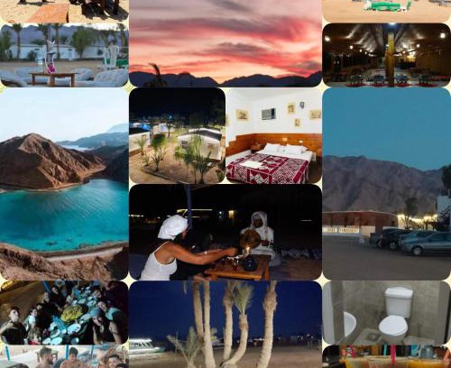 Nuweiba Hotel | OASIS Resort