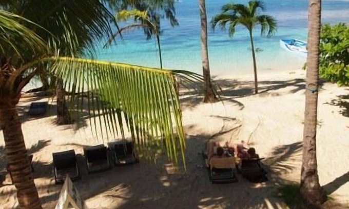 Logon Complejo | Ocean Vida Beach and Dive Resort