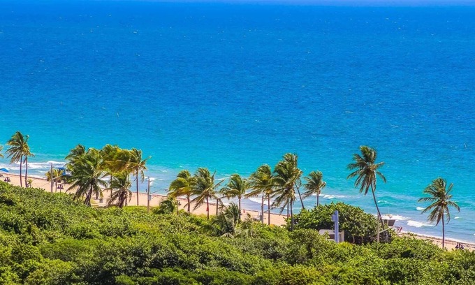 Birch Park Finger Streets Condominio | Ocean View Fort Lauderdale Beach Condo, Great central location