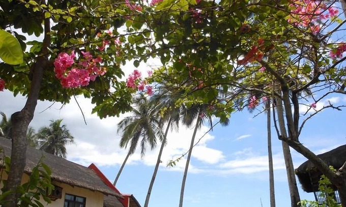 Puerto Galera Hotel | Oceana Resort