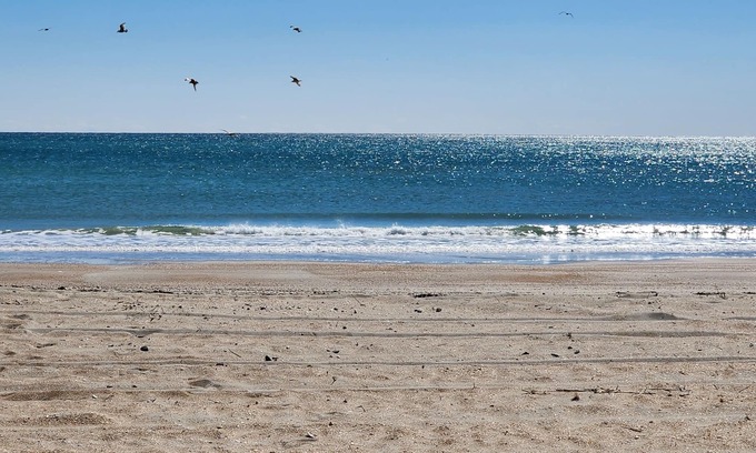 Morehead City Condominio | Oceanfront complex, two pools, beach access, and king bed!