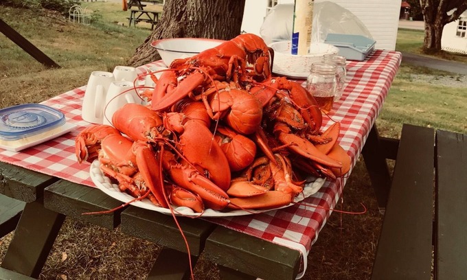 Salsbury Cove Cabaña | Oceanfront Cottage at Acadia National Park, Bar Harbor/Piper Cottage
