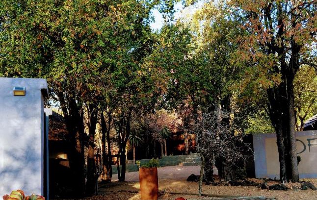 Hoedspruit Cabina | Off Beat Safaris Bush Lodge
