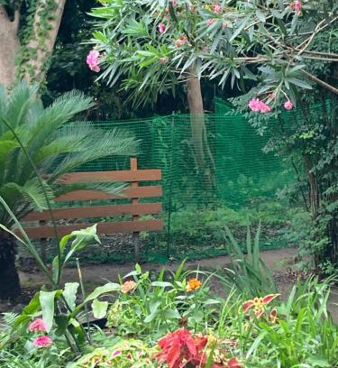 Oshima Casa | ＯＫＵＮＯ ＩＥ