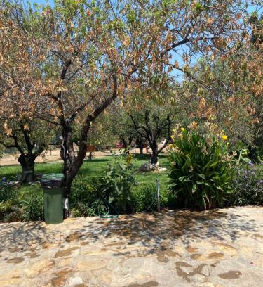 Datca Apartamento | Okyanus apart second floor number 7