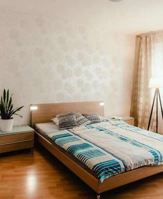 Brno-stred Apartamento | Old Town Apartment Pellicova