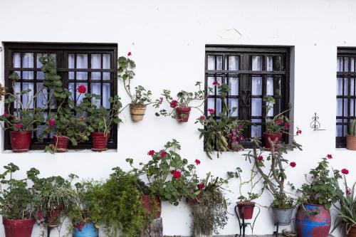 Hondarribia Historic Center Apartamento | Olerki by Smiling Rentals