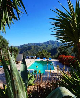 El Chorro Casa | Olive Branch El Chorro