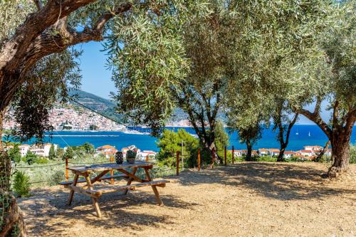 Skopelos Apartamento | Olive Grove Apartment