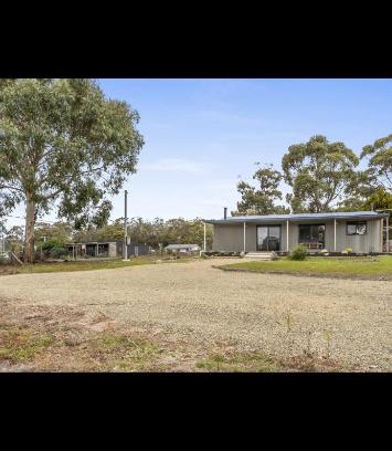 White Beach Casa | Olive Grove