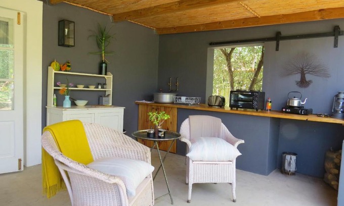 Prince Albert Casa | Olive Grove Pip
