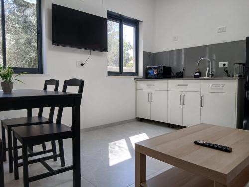 Beit Hillel Apartamento | Olive shade