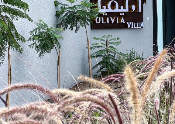 Sayq Chalet De Esquí | Olivia Chalet فلة أوليفيا