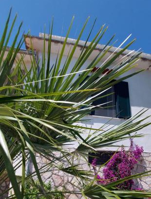 Monte Sant'Angelo Apartamento | Olivo Macchia