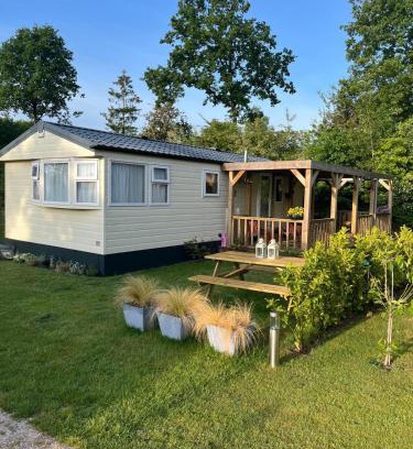 Oude Willem Otro | Olm29 Vakantiewoning in het Drents Friese Wold vlakbij Diever Zwembad, Animatie, Restaurant, Wandelen, Natuur