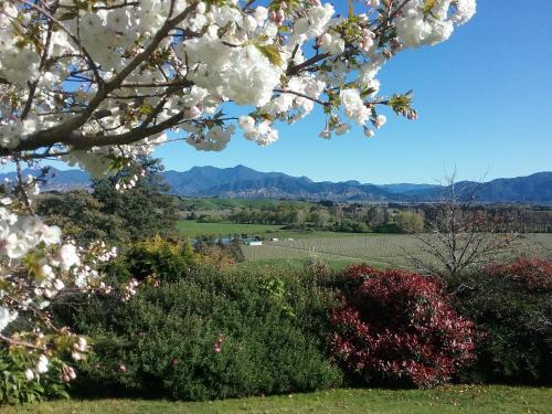 Hawkesbury Cama Y Desayuno | Omaka Heights Countrystay