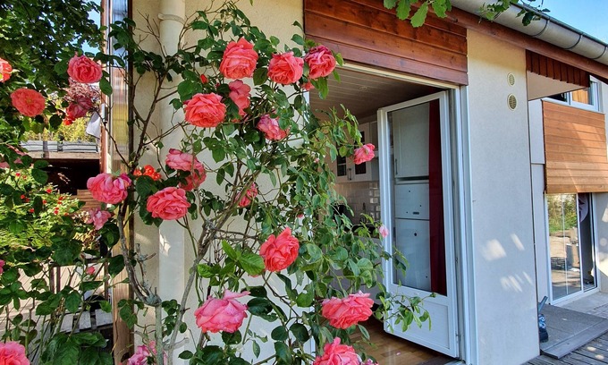 Barr Apartamento | On your terrace at the foot of an oak tree, feel the Alsace's vibes !