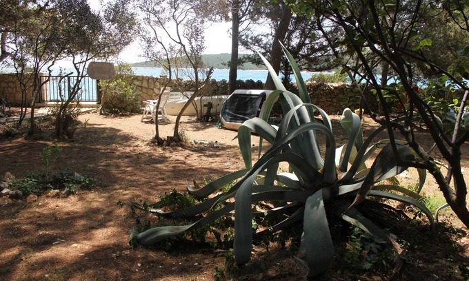 Artatore Apartamento | Apartamento de una habitación en la playa Artatore, Losinj (A-7935-c)