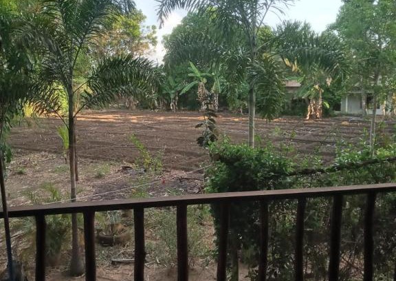 Sigiriya Casa | One More Night Homestay