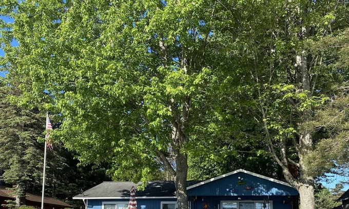 Central Lake Cabaña | One Polski Cottage on Intermediate Lake