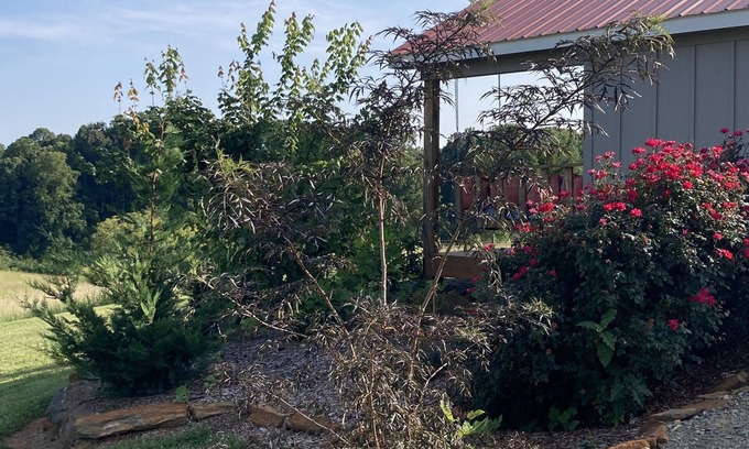 Gladehill Cabina | One room cabin set on our farm for a peaceful getaway.