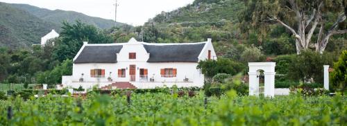 Robertson Casa | Orange Grove