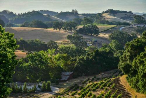 Paso Robles Casa | Orchard Hill Farm